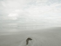 where the breeze passes by
