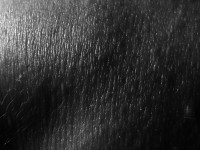 Style: "Portrait B&W"