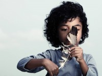 Photography by Peter Lau