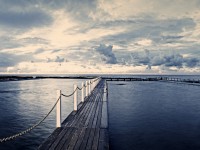 Photography by Jon Higgs