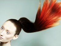 Photography by David Byun