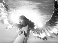 fly away