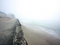 where the misty paths lead