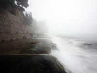 Photography by Rory Carter