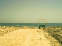Photography by Tommy Morris
