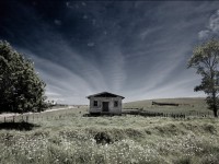 Photography by Rory Carter