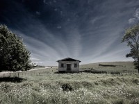 Photography by Rory Carter
