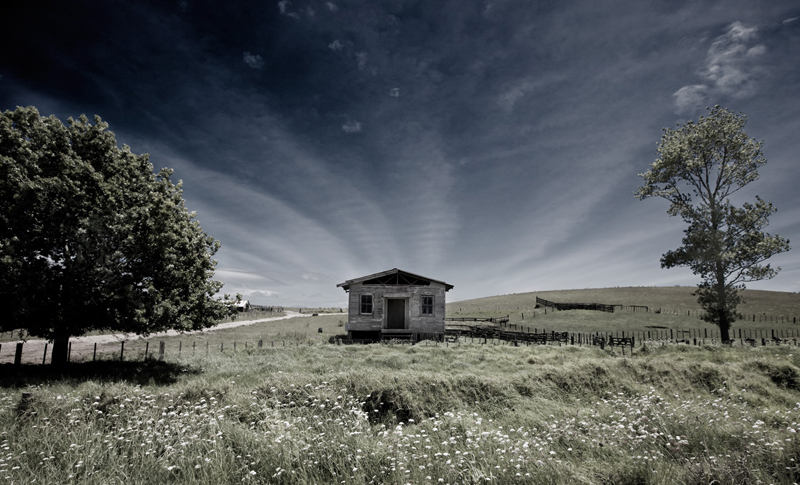 Photography by Rory Carter
