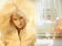 Photography by David Byun