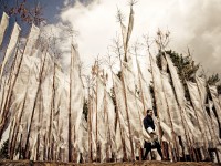 Photography by Scott Woodward